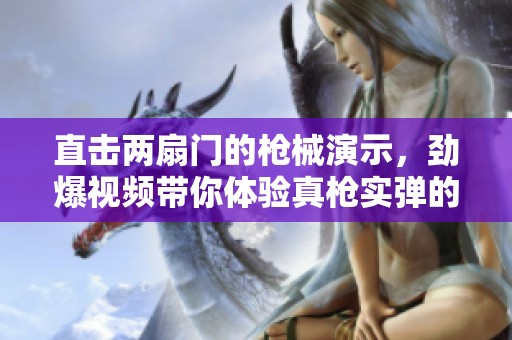 直击两扇门的枪械演示，劲爆视频带你体验真枪实弹的刺激