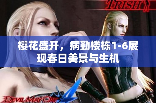 樱花盛开，病勤楼栋1-6展现春日美景与生机