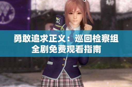 勇敢追求正义：巡回检察组全剧免费观看指南