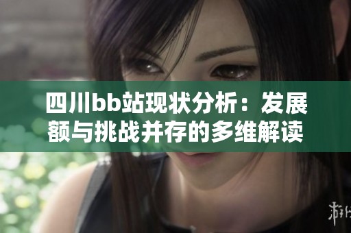 四川bb站现状分析：发展额与挑战并存的多维解读