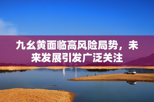 九幺黄面临高风险局势，未来发展引发广泛关注