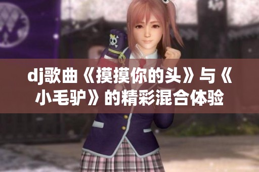 dj歌曲《摸摸你的头》与《小毛驴》的精彩混合体验
