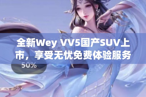 全新Wey VV5国产SUV上市，享受无忧免费体验服务