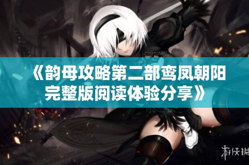 《韵母攻略第二部鸾凤朝阳完整版阅读体验分享》