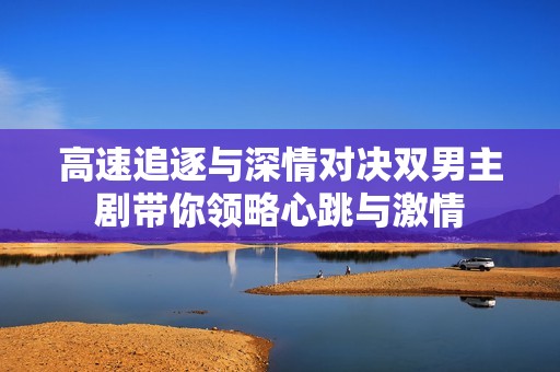 高速追逐与深情对决双男主剧带你领略心跳与激情