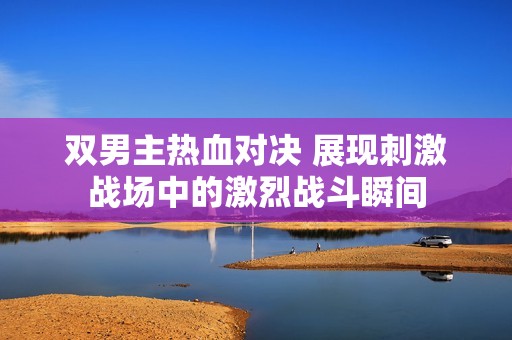 双男主热血对决 展现刺激战场中的激烈战斗瞬间