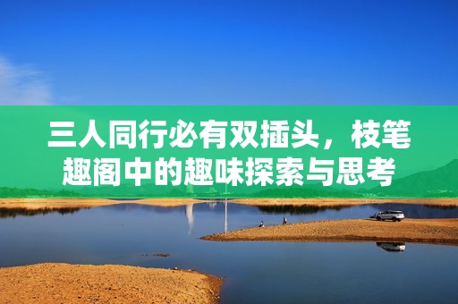 三人同行必有双插头，枝笔趣阁中的趣味探索与思考