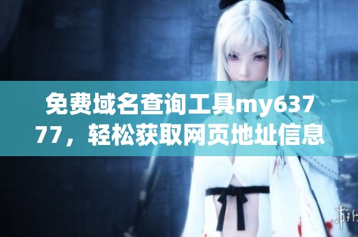 免费域名查询工具my63777，轻松获取网页地址信息