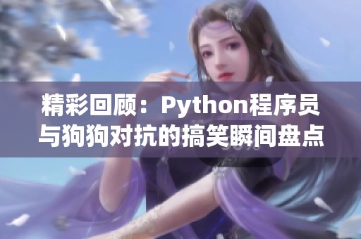精彩回顾：Python程序员与狗狗对抗的搞笑瞬间盘点