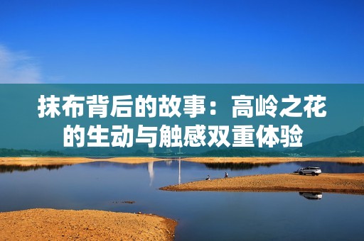 抹布背后的故事：高岭之花的生动与触感双重体验