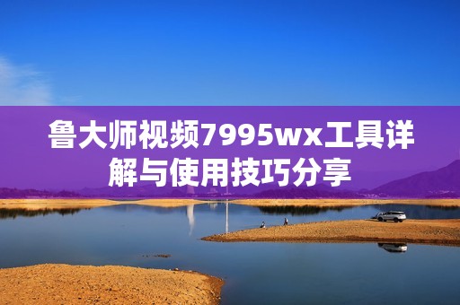 鲁大师视频7995wx工具详解与使用技巧分享