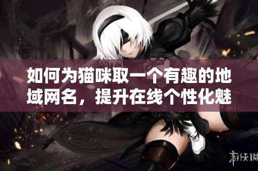 如何为猫咪取一个有趣的地域网名，提升在线个性化魅力