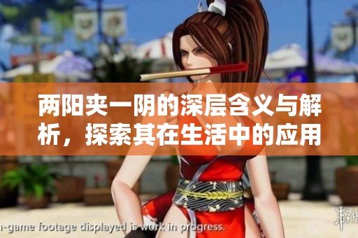 两阳夹一阴的深层含义与解析，探索其在生活中的应用