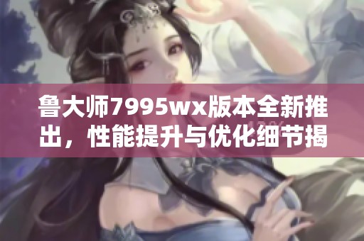 鲁大师7995wx版本全新推出，性能提升与优化细节揭秘