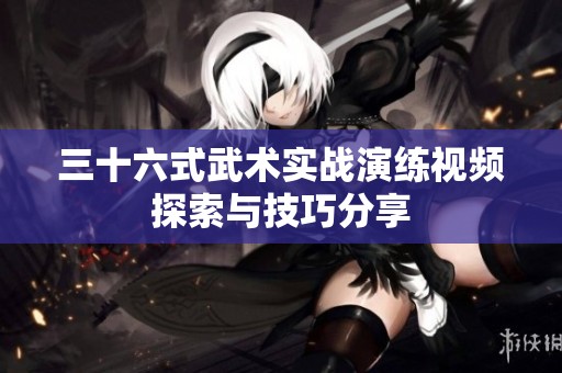 三十六式武术实战演练视频探索与技巧分享
