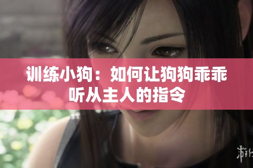 训练小狗：如何让狗狗乖乖听从主人的指令