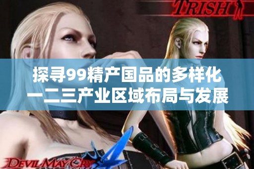探寻99精产国品的多样化一二三产业区域布局与发展潜力