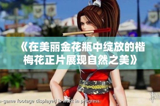 《在美丽金花瓶中绽放的楷梅花正片展现自然之美》