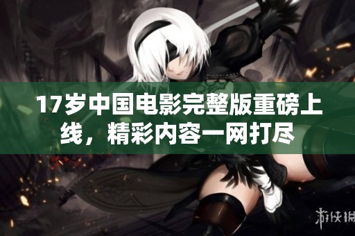 17岁中国电影完整版重磅上线，精彩内容一网打尽