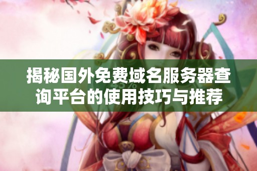 揭秘国外免费域名服务器查询平台的使用技巧与推荐