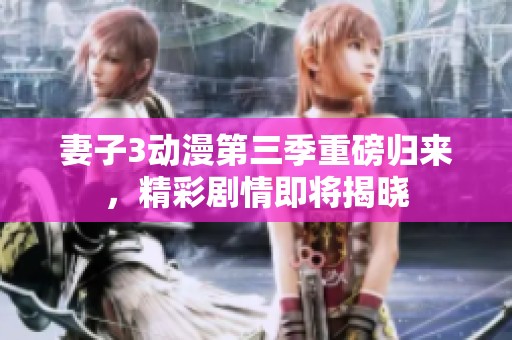 妻子3动漫第三季重磅归来，精彩剧情即将揭晓