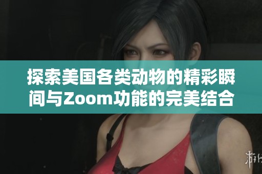 探索美国各类动物的精彩瞬间与Zoom功能的完美结合
