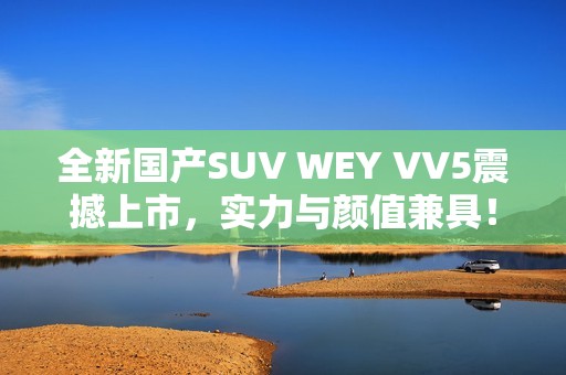 全新国产SUV WEY VV5震撼上市，实力与颜值兼具！