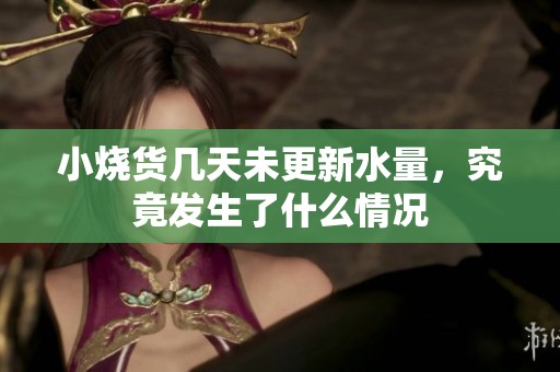 小烧货几天未更新水量，究竟发生了什么情况