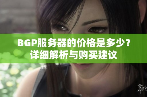 BGP服务器的价格是多少？详细解析与购买建议