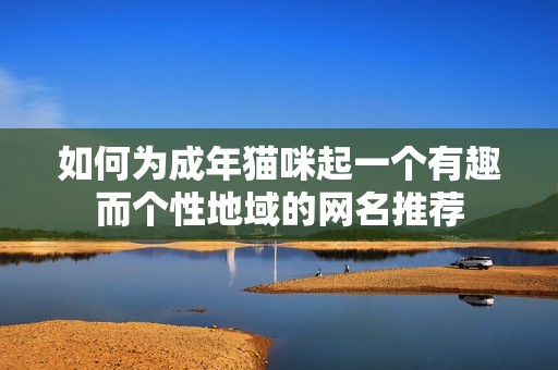 如何为成年猫咪起一个有趣而个性地域的网名推荐