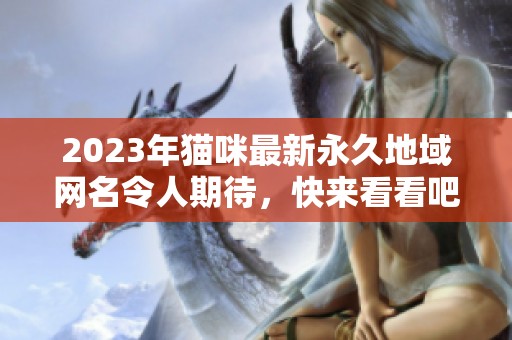 2023年猫咪最新永久地域网名令人期待，快来看看吧