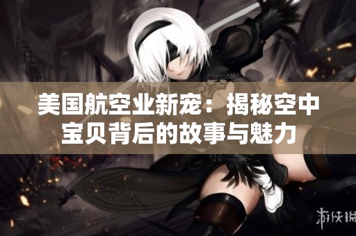美国航空业新宠：揭秘空中宝贝背后的故事与魅力