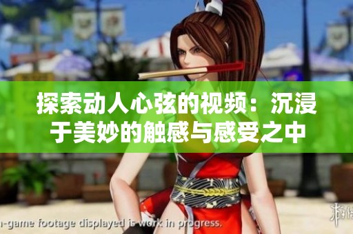 探索动人心弦的视频：沉浸于美妙的触感与感受之中