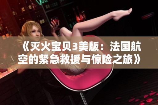 《灭火宝贝3美版：法国航空的紧急救援与惊险之旅》