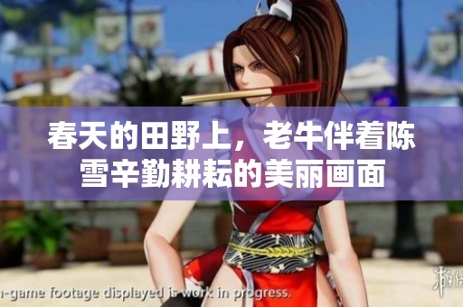 春天的田野上，老牛伴着陈雪辛勤耕耘的美丽画面
