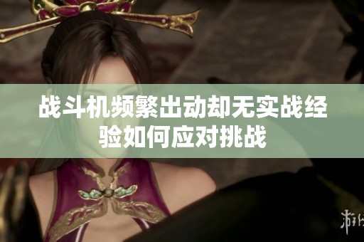 战斗机频繁出动却无实战经验如何应对挑战