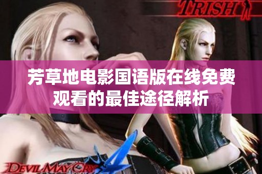 芳草地电影国语版在线免费观看的最佳途径解析