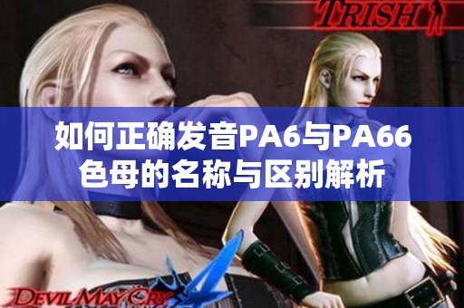 如何正确发音PA6与PA66色母的名称与区别解析