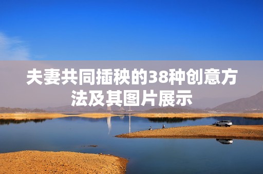 夫妻共同插秧的38种创意方法及其图片展示