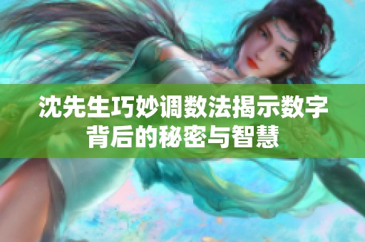 沈先生巧妙调数法揭示数字背后的秘密与智慧