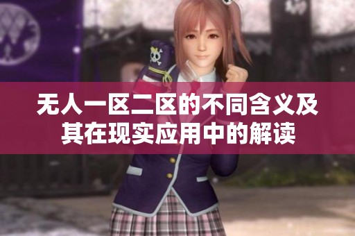 无人一区二区的不同含义及其在现实应用中的解读