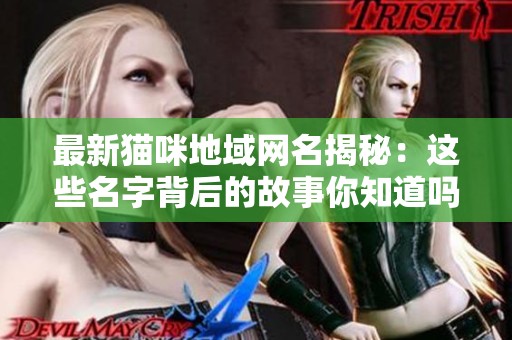 最新猫咪地域网名揭秘：这些名字背后的故事你知道吗