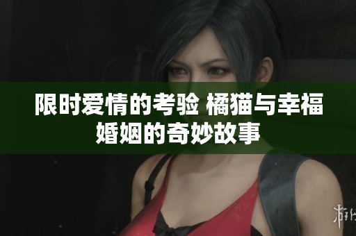 限时爱情的考验 橘猫与幸福婚姻的奇妙故事