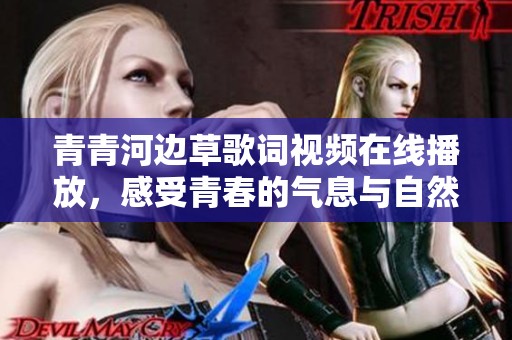 青青河边草歌词视频在线播放，感受青春的气息与自然之美