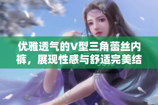 优雅透气的V型三角蕾丝内裤，展现性感与舒适完美结合