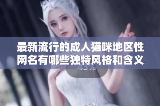 最新流行的成人猫咪地区性网名有哪些独特风格和含义