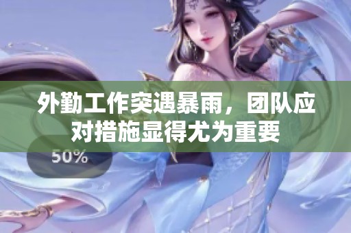 外勤工作突遇暴雨，团队应对措施显得尤为重要