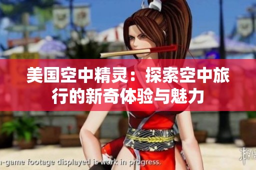 美国空中精灵：探索空中旅行的新奇体验与魅力