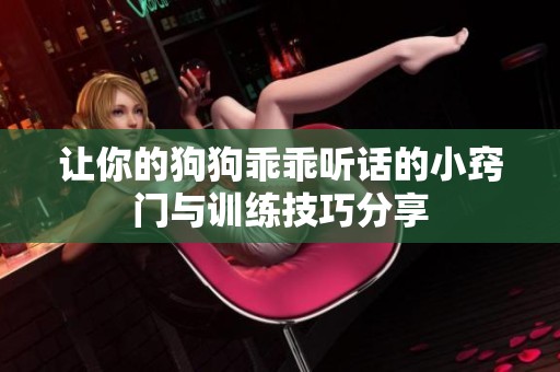 让你的狗狗乖乖听话的小窍门与训练技巧分享
