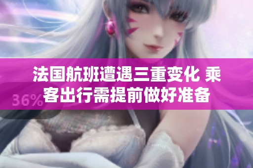 法国航班遭遇三重变化 乘客出行需提前做好准备